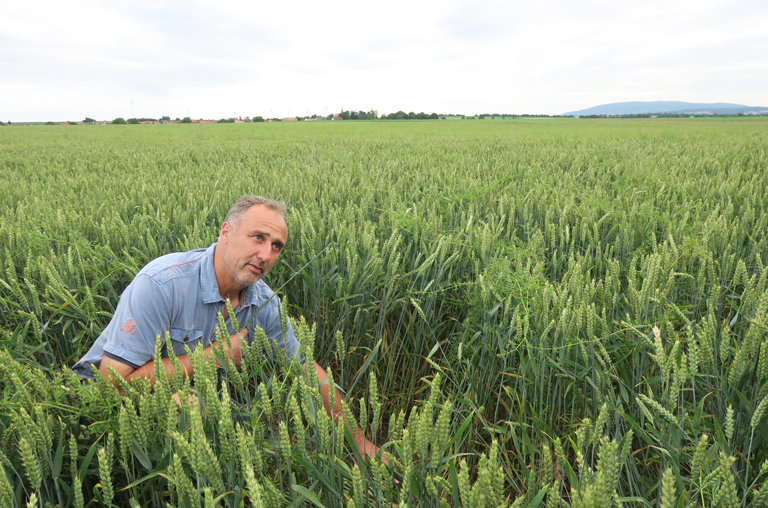 Bio-Landwirt Armin Meitzler