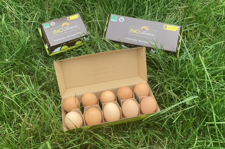 Die frischen Eier von der Bio-Familie Rheinhessen aus dem Sortiment von EDEKA Deckenbach glänzen mit unvergleichlichem Geschmack