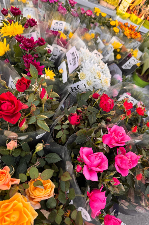 Frühlingsblumen von Bart & Bastian bei EDEKA Deckenbach