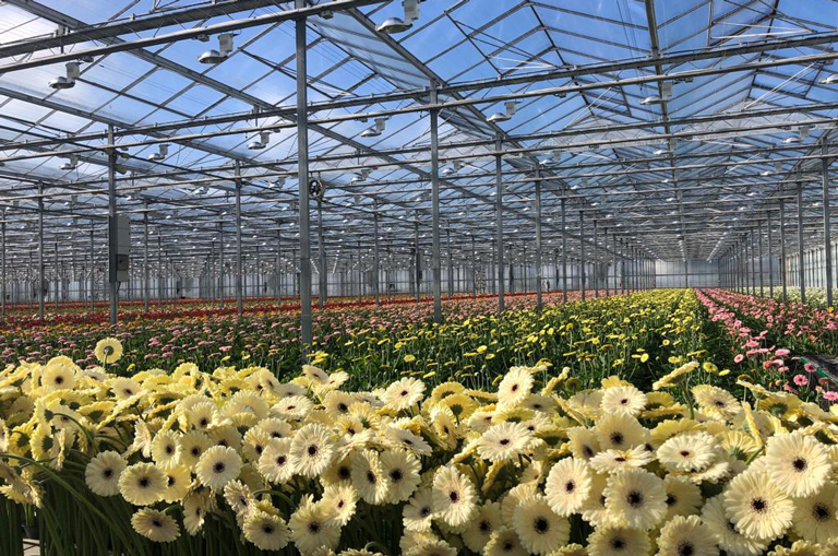 Bart & Bastian setzt auf die Zusammenarbeit mit Gärtnereien aus der Region