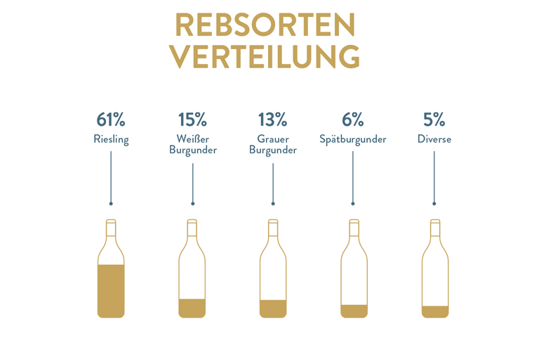 Grafik der Rebsortenverteilung vom Weingut Kruger-Rumpf