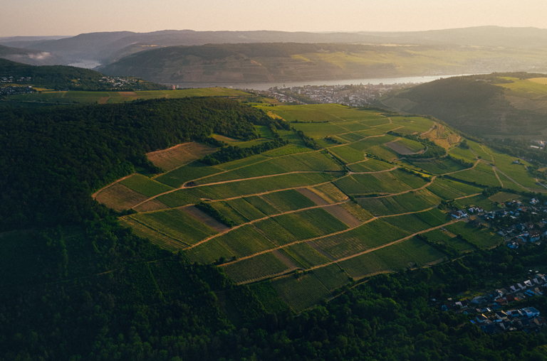 Ein Luftbild von den Weinlagen von Kruger-Rumpf ©peterbender