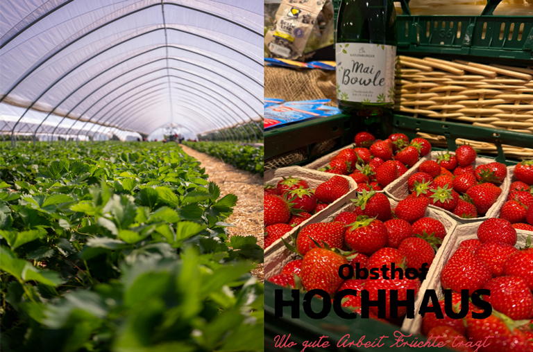 Regionale Erdbeeren vom Obsthof Hochhaus – jetzt bei EDEKA Deckenbach