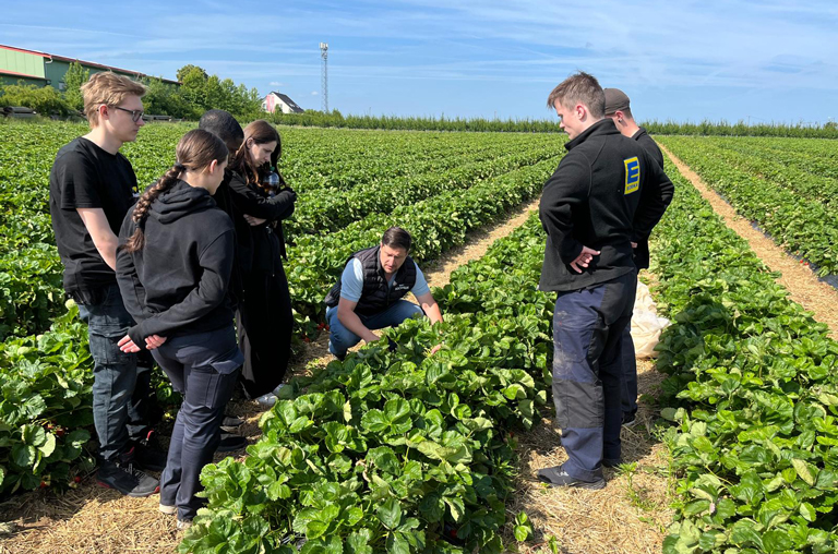Auch auf dem Erdbeerfeld erfuhren die Nachwuchskräfte Wissenswertes von Junior-Chef Björn Hochhaus