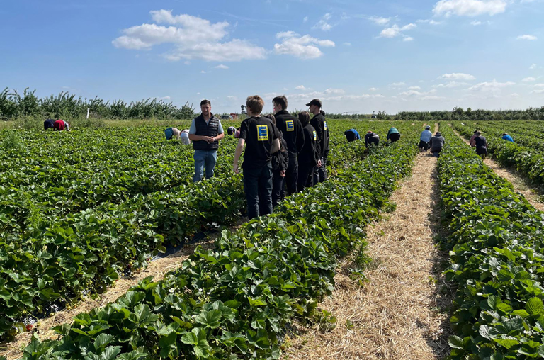 Auch auf dem Erdbeerfeld erfuhren die Nachwuchskräfte Wissenswertes von Junior-Chef Björn Hochhaus