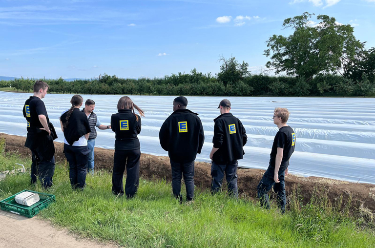 Juniorchef Björn Hochhaus erläutert den interessierten EDEKA-Deckenbach-Azubis direkt am Spargelfeld die Anabuamethoden