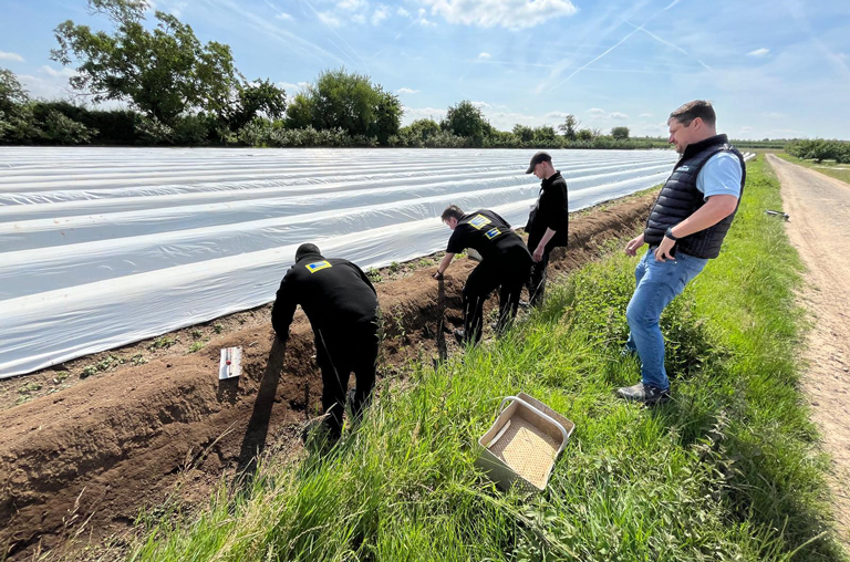 Auf den Spargelfeldern vom Obsthof Hochhaus durften die Azubis von EDEKA Deckenbach selbst Hand anlegen