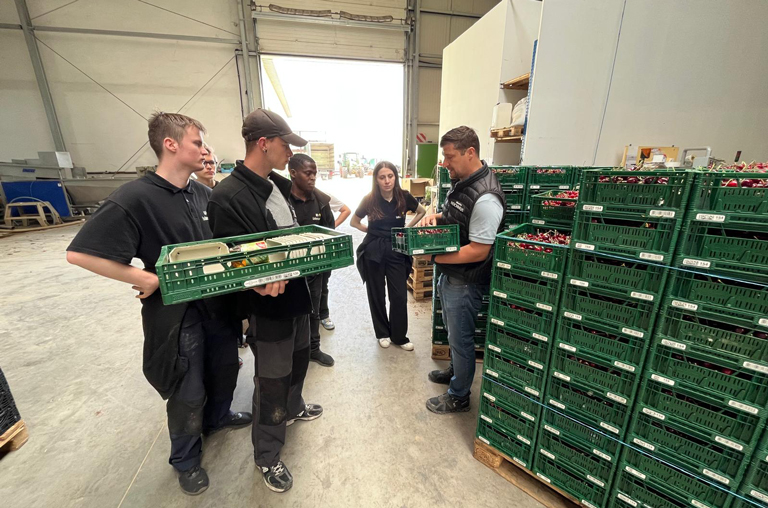 Auch in den Lagerhallen bekamen die EDEKA-Deckenbach-Azubis Einblicke und durften selbst mit anpacken