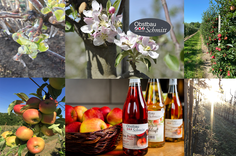 Coallage mit Bilder von Obstbau Schmitt
