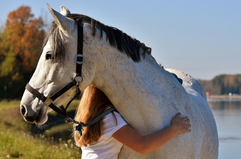 Eine Frau umarmt ein Pferd