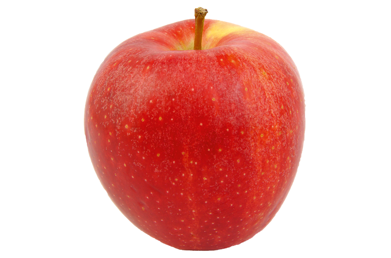 Gala Apfel Pralinen des Herbstes