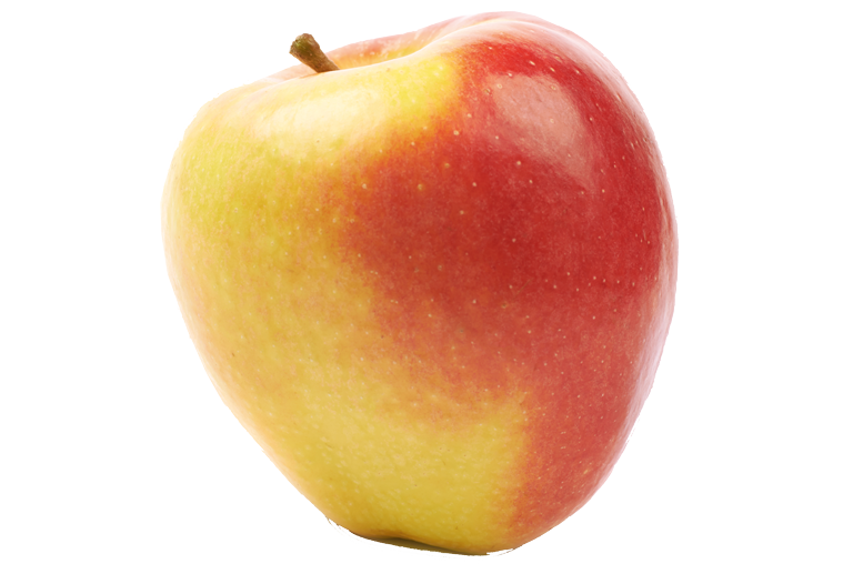 Jonagold Apfel