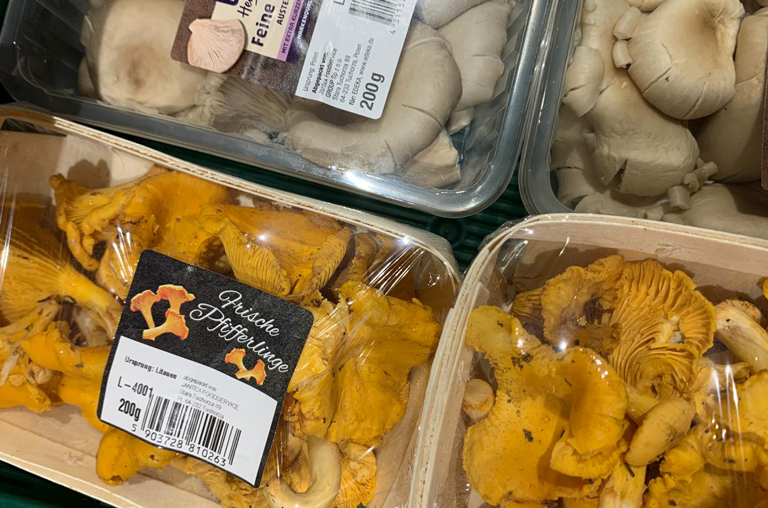 Pilze bei Deckenbach