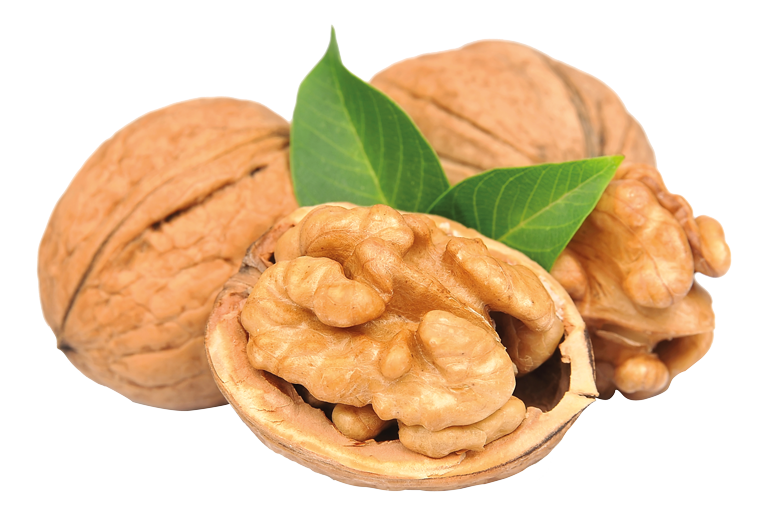 Walnuss Pralinen des Herbstes