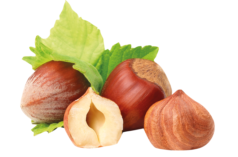 Haselnuss Pralinen des Herbstes