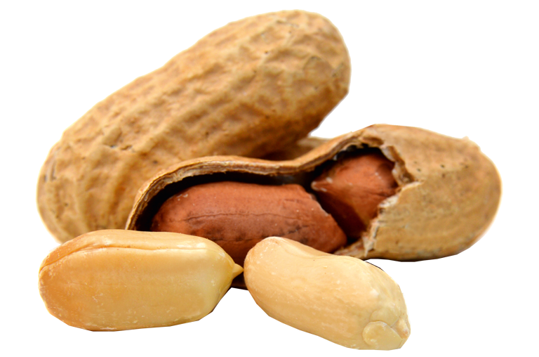 Erdnuss Pralinen des Herbstes