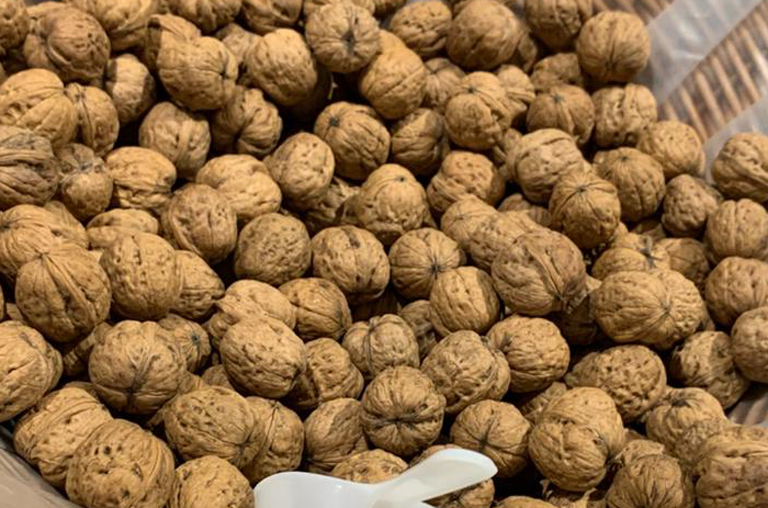 Walnüsse bei Deckenbach