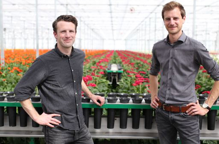 Frühling in voller Blüte