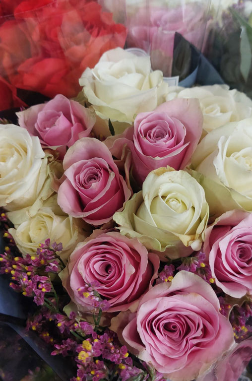 Frühling in voller Blüte