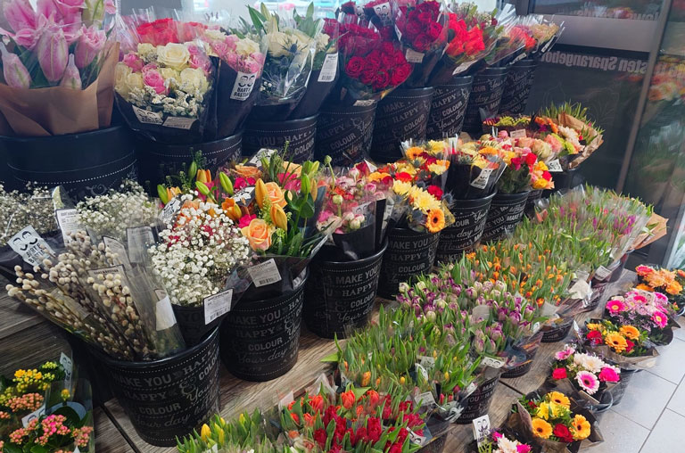 Frühling in voller Blüte