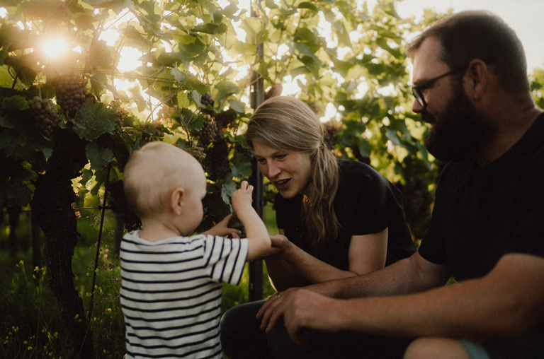 Weingut Ökologischer Weinbau Huster