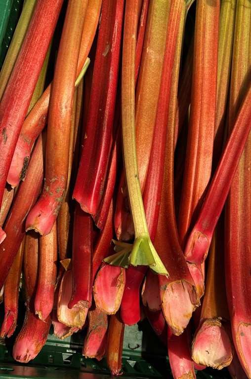 Spargel- und Rhabarberzeit