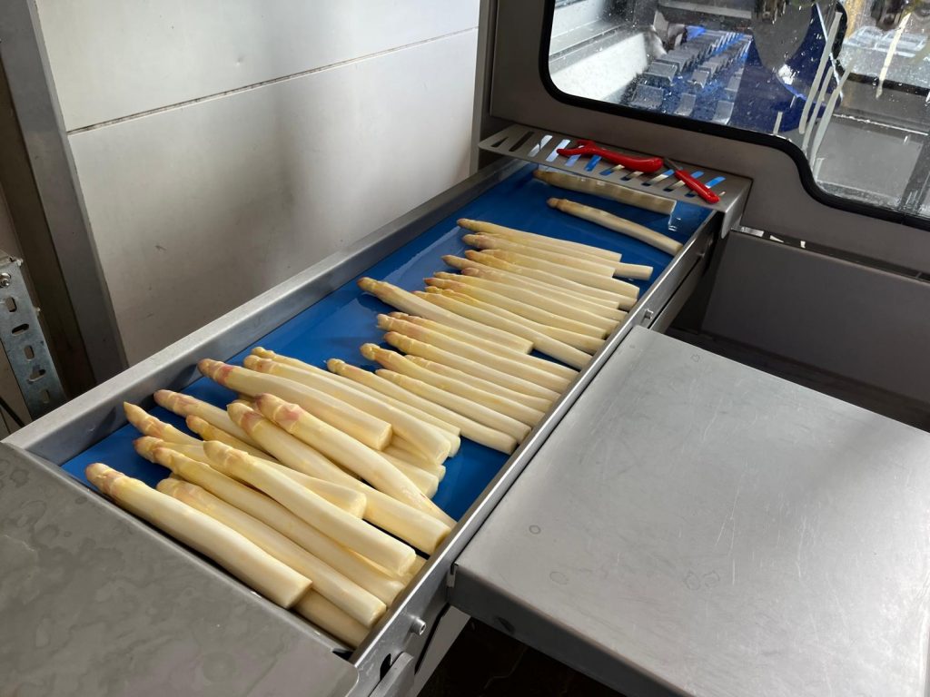 Spargel- und Rhabarberzeit