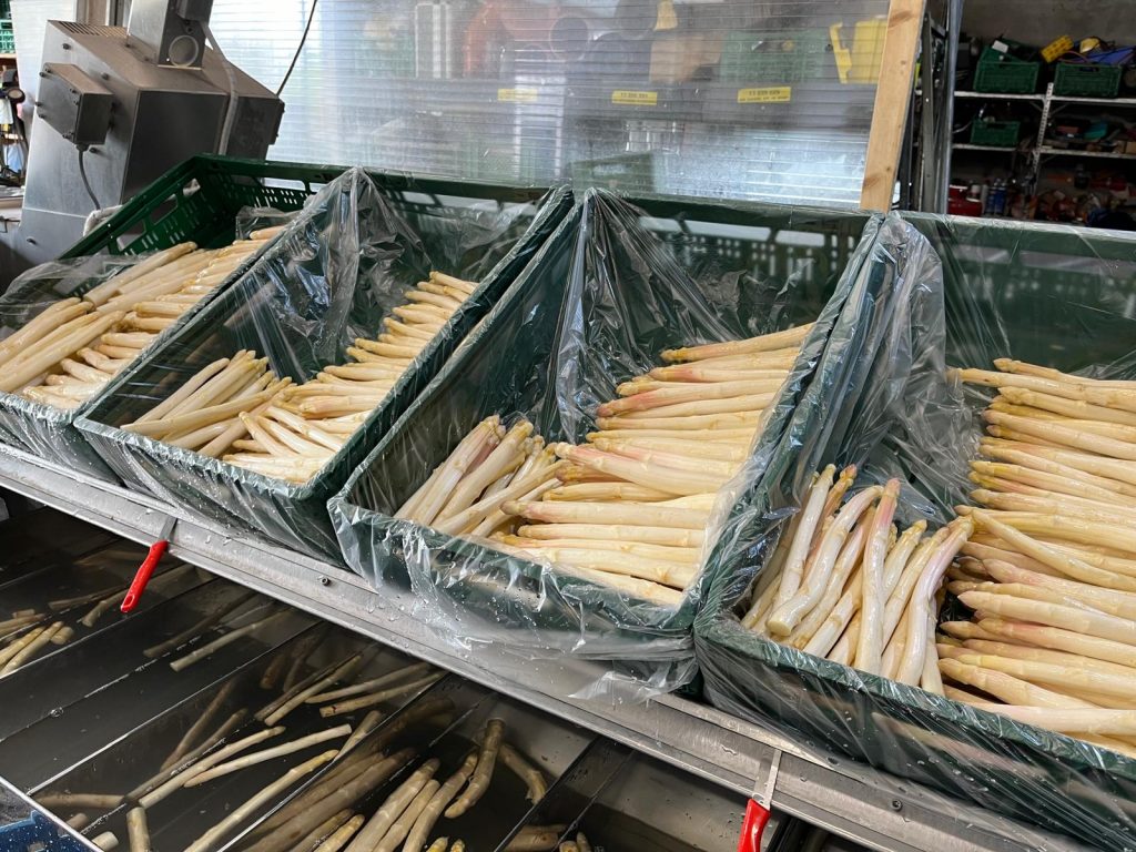 Spargel- und Rhabarberzeit