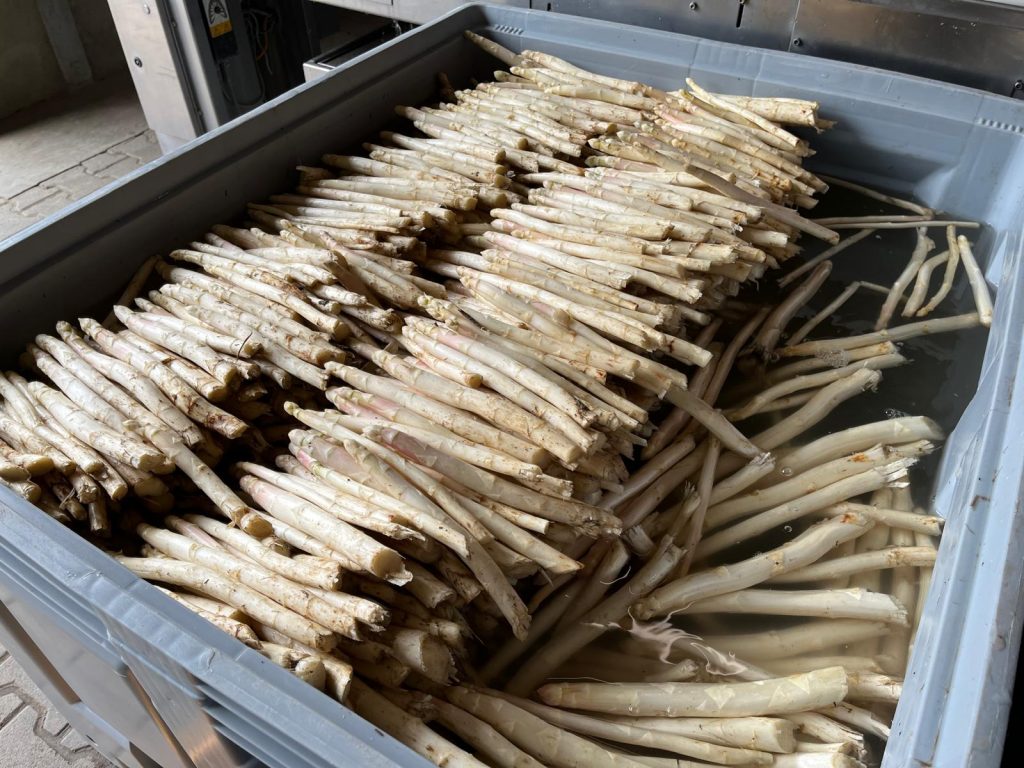 Spargel- und Rhabarberzeit