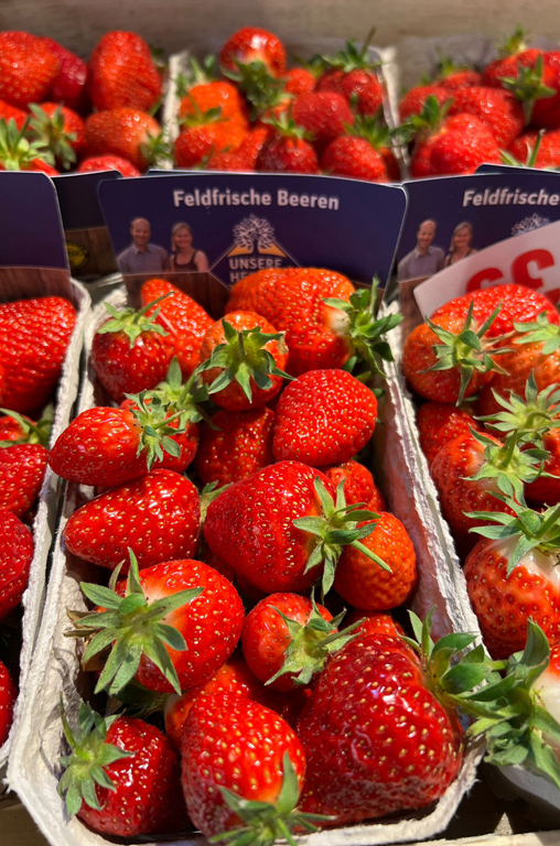 Erdbeersaison