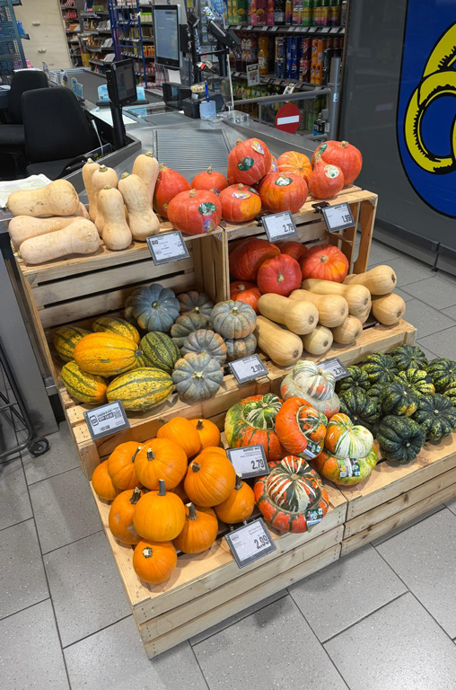 Schätze des Herbstes